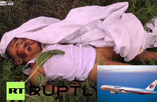 【閲覧注意】ウクライナで打ち落とされたマレーシア航空旅客機の墜落現場・・・