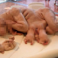 【閲覧注意】 人と豚の子供が子供を産んだ結果ｗｗｗｗｗｗ ※グロ画像
