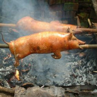 【グロ注意】生きたまま豚を火にぶち込んで丸焼きにしてみたｗｗｗ