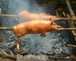 【グロ注意】生きたまま豚を火にぶち込んで丸焼きにしてみたｗｗｗ