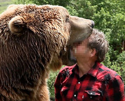 【閲覧注意】熊に襲われた被害者を集めたらグロ過ぎた件・・・　画像集