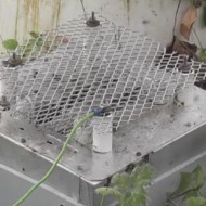 【衝撃映像】スズメバチの巣入り口に電気網トラップ設置した結果ｗ