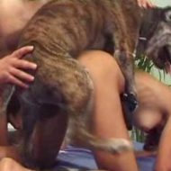 【エログロ】犬とセックスする獣姦動画で一番がこれ・・・※無修正アニマルセックス