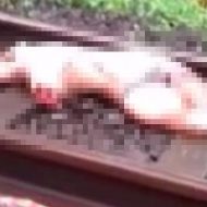 【エログロ】際どい下着で電車に飛び込んだ女の死体にエロさを感じざるを得ない・・・　※動画