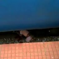 【閲覧注意】ちょっと目を話した隙に・・・ホームの隙間から落ちた子供が母親の目の前で電車に・・・・・・ ※動画