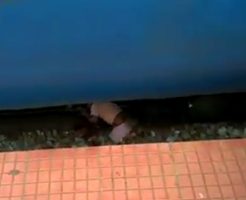 【閲覧注意】ちょっと目を話した隙に・・・ホームの隙間から落ちた子供が母親の目の前で電車に・・・・・・ ※動画