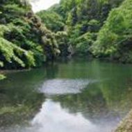 【神奈川県心霊スポット】散在ガ池森林公園(鎌倉湖)