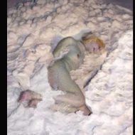 【エログロ画像】ヤバ過ぎるAVが見つかるｗ　雪の中全裸で凍死まで追い込むとか何それ怖いｗｗｗ