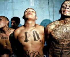 【カルテル】メキシコ麻薬戦争に巻き込まれた人達のグロ画像　燃やされたり斬首されたりと残酷過ぎるぜ・・・