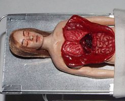 【グロ動画】高画質　女の子の死体を解剖し内蔵を取り出していく無修正映像