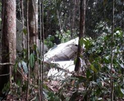 飛行機墜落する瞬間のコックピット映像！ジャングルに突っ込み2名死亡…