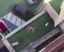 オーマイガー…撮影者が思わず呟いてしまう女性の飛び降り自殺