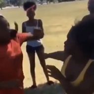 黒人女性同士の殴り合い！だけど片方が強すぎてワロタｗ