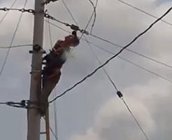 電気技師の男性が電柱で感電してしまい身体が燃え上がる…