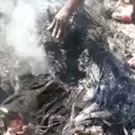 身体を燃やされ真っ黒になった男のペニスが食われるカニバリズム映像