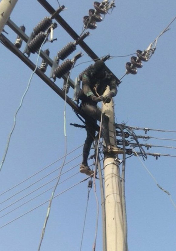 ケーブルを盗むために電柱によじ登った男、ヤバイ所に触れて感電死…