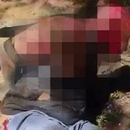 ブラジルギャングの拷問動画。 既に血まみれの男をガスバーナーを使って炙りまくって追い打ちしている… 動画が見られない場合はこちら