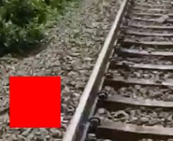 【閲覧注意】線路に散らばった男のバラバラ死体…