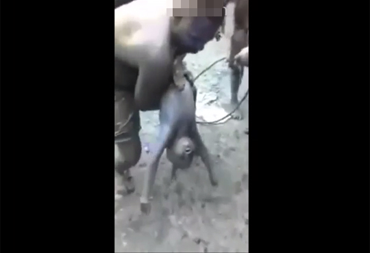 【閲覧注意】泥で遊んでた少女が窒息死する映像が流出・・・